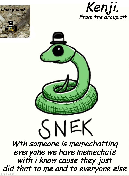 - anchorsimp/kenji/foolhardy/mist etc. | Wth someone is memechatting everyone we have memechats with i know cause they just did that to me and to everyone else | image tagged in snek | made w/ Imgflip meme maker