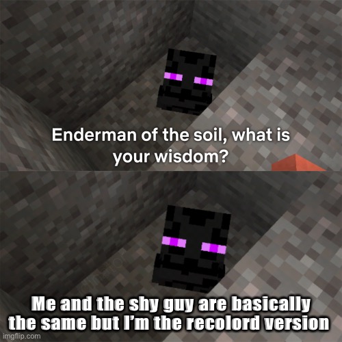 Enderman of the soil | Me and the shy guy are basically the same but I’m the recolord version | image tagged in enderman of the soil | made w/ Imgflip meme maker