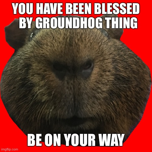 Blessings from Groundhog Thing |  YOU HAVE BEEN BLESSED   BY GROUNDHOG THING; BE ON YOUR WAY | image tagged in groundhog,guinea pig,blessings,funny,memes,animal meme | made w/ Imgflip meme maker