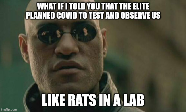 Hang Klaus Schwab | WHAT IF I TOLD YOU THAT THE ELITE PLANNED COVID TO TEST AND OBSERVE US; LIKE RATS IN A LAB | image tagged in memes,matrix morpheus,bill gates,vaccines,covid | made w/ Imgflip meme maker