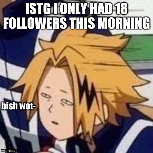 i have 29 :O | ISTG I ONLY HAD 18 FOLLOWERS THIS MORNING | image tagged in denki | made w/ Imgflip meme maker