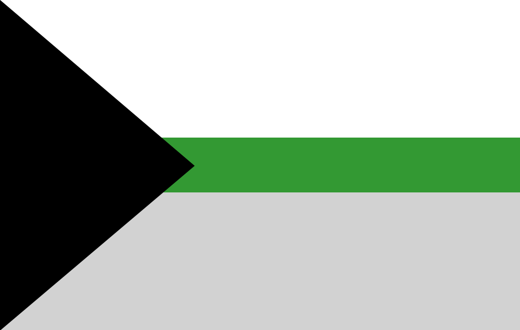 Demiromantic flag Blank Meme Template