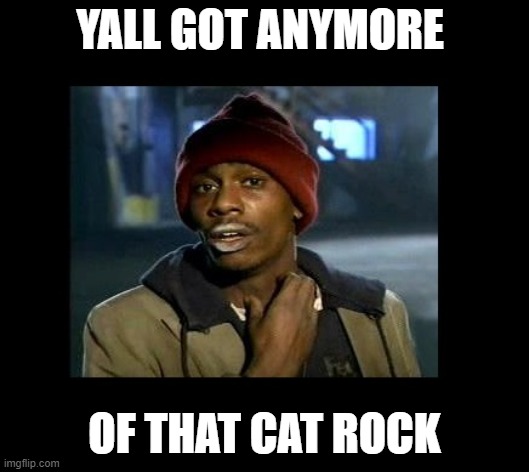 dave chappelle y'all got any more of crackhead | YALL GOT ANYMORE; OF THAT CAT ROCK | image tagged in dave chappelle y'all got any more of crackhead | made w/ Imgflip meme maker