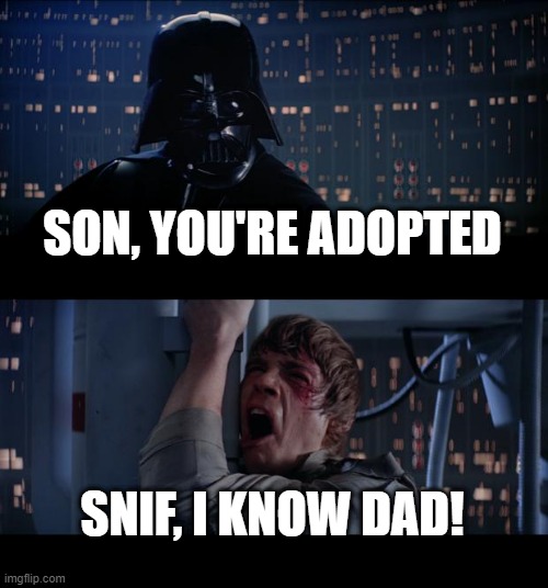 That 's the real scene. | SON, YOU'RE ADOPTED; SNIF, I KNOW DAD! | image tagged in memes,star wars no | made w/ Imgflip meme maker