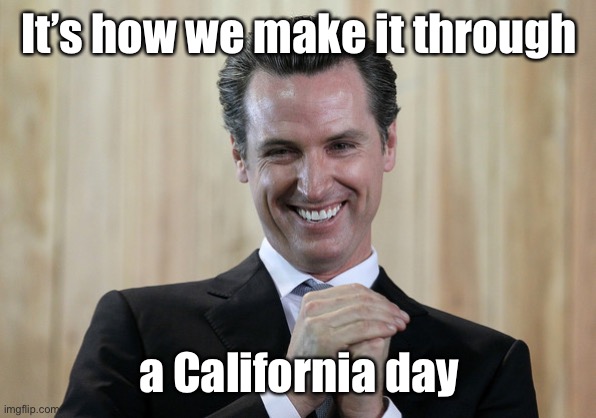 Scheming Gavin Newsom  | It’s how we make it through a California day | image tagged in scheming gavin newsom | made w/ Imgflip meme maker