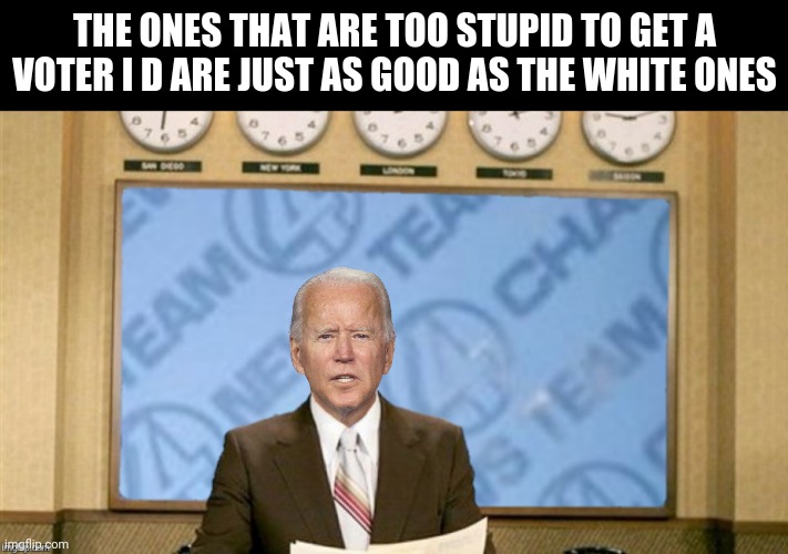 THE ONES THAT ARE TOO STUPID TO GET A VOTER I D ARE JUST AS GOOD AS THE WHITE ONES | made w/ Imgflip meme maker