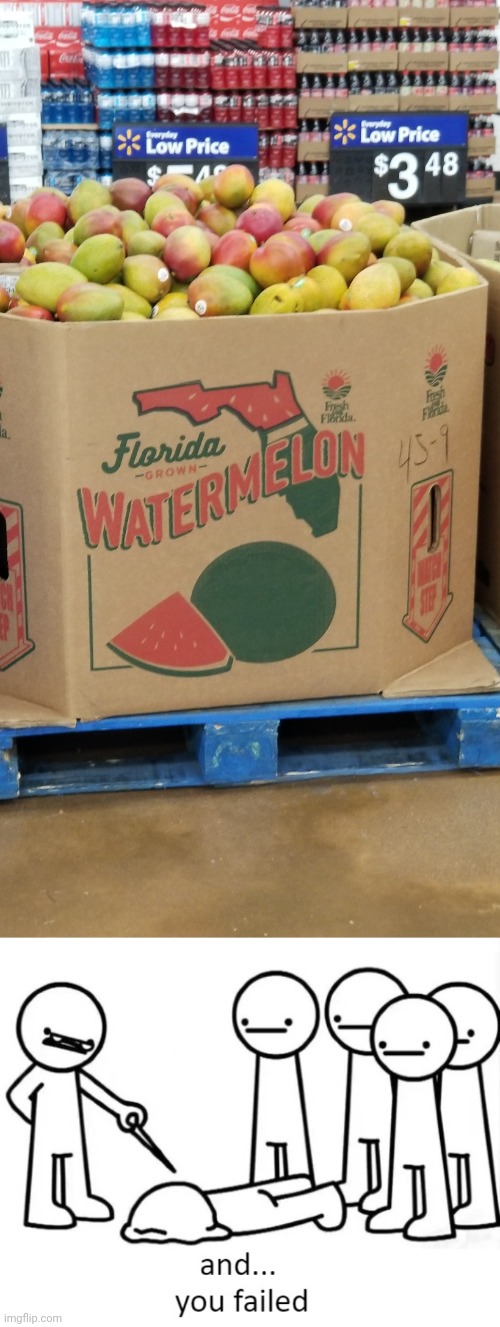 Wow, walmart... just wow | image tagged in and you failed,walmart,wrong,stupid,stock fail,watermelon | made w/ Imgflip meme maker