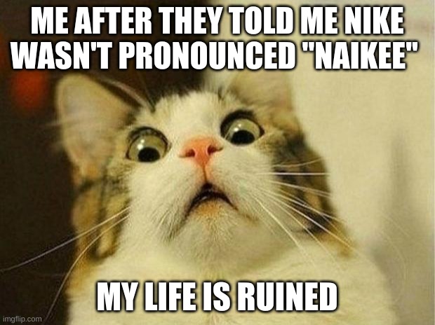 My Life Is Ruined | ME AFTER THEY TOLD ME NIKE WASN'T PRONOUNCED ''NAIKEE''; MY LIFE IS RUINED | image tagged in memes,scared cat | made w/ Imgflip meme maker