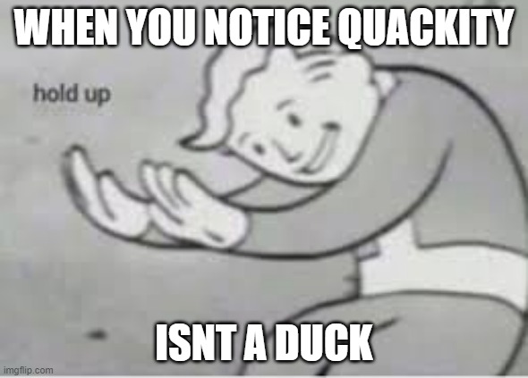 quack | WHEN YOU NOTICE QUACKITY; ISNT A DUCK | image tagged in hol up | made w/ Imgflip meme maker