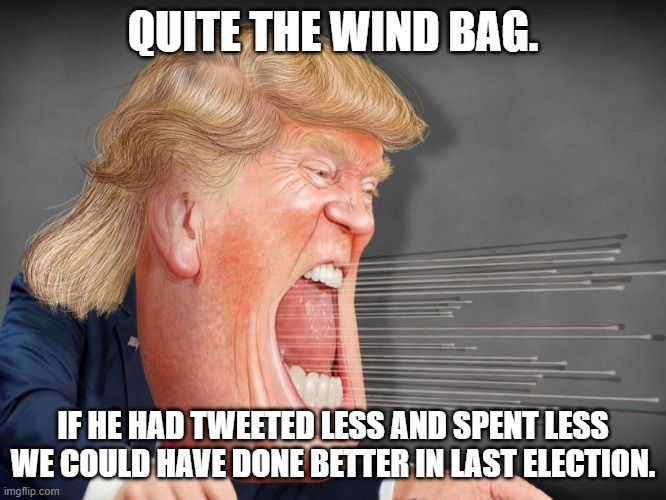 Trump wind bag | QUITE THE WIND BAG. IF HE HAD TWEETED LESS AND SPENT LESS WE COULD HAVE DONE BETTER IN LAST ELECTION. | image tagged in trump wind bag | made w/ Imgflip meme maker