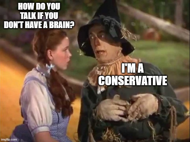 Scarecrow And Dorothy | HOW DO YOU TALK IF YOU DON'T HAVE A BRAIN? I'M A CONSERVATIVE | image tagged in scarecrow and dorothy,republicans,gop,trump supporters | made w/ Imgflip meme maker