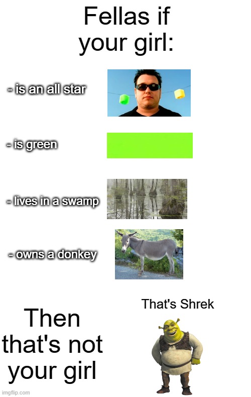 That description sounds familiar... | Fellas if your girl:; - is an all star; - is green; - lives in a swamp; - owns a donkey; Then that's not your girl; That's Shrek | image tagged in shrek,memes,fellas if your girl,all star,girlfriend,donkey | made w/ Imgflip meme maker