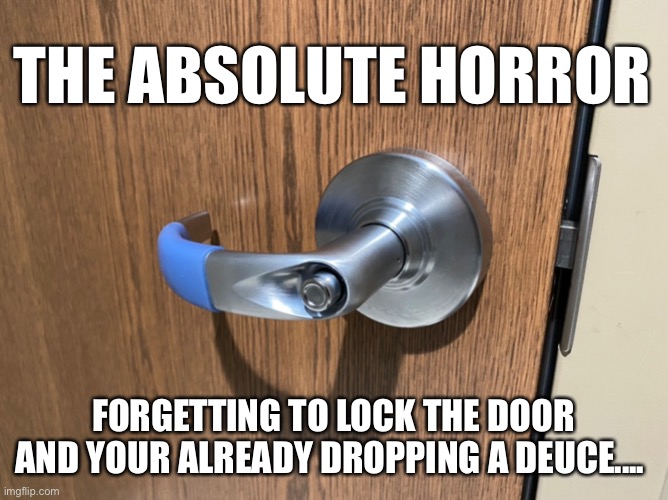 Locking the Bathroom Door at Work. | THE ABSOLUTE HORROR; FORGETTING TO LOCK THE DOOR AND YOUR ALREADY DROPPING A DEUCE.... | image tagged in horror,deuce,forgetting,lockdown | made w/ Imgflip meme maker