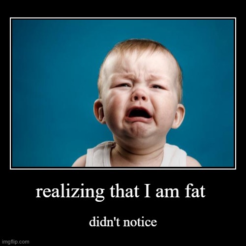 realizing that I am fat | didn't notice | image tagged in funny,demotivationals | made w/ Imgflip demotivational maker