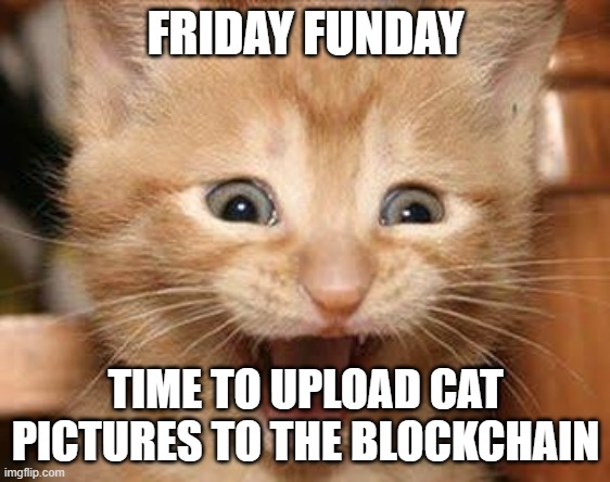 Excited Cat Meme | FRIDAY FUNDAY; TIME TO UPLOAD CAT PICTURES TO THE BLOCKCHAIN | image tagged in memes,excited cat | made w/ Imgflip meme maker