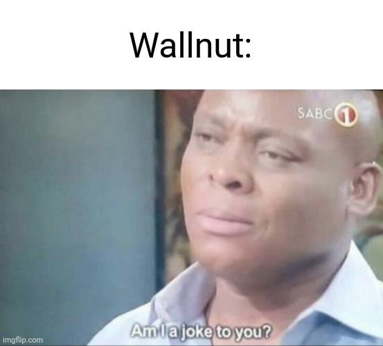 am i a joke to you | Wallnut: | image tagged in am i a joke to you | made w/ Imgflip meme maker