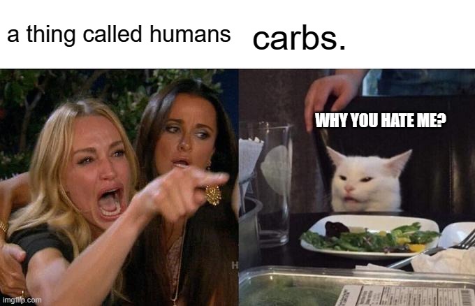 Woman Yelling At Cat | a thing called humans; carbs. WHY YOU HATE ME? | image tagged in memes,woman yelling at cat | made w/ Imgflip meme maker