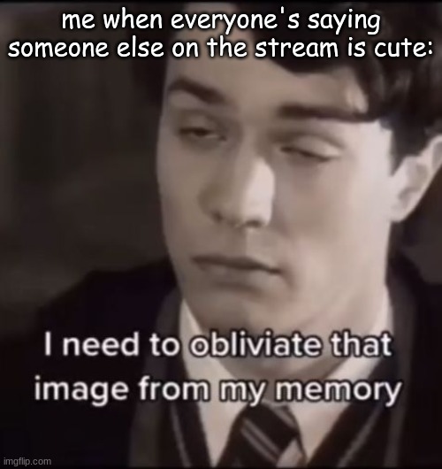 SJDNJKDJHNBCJHNSKJNSJDXHB | me when everyone's saying someone else on the stream is cute: | image tagged in sjdnjkdjhnbcjhnskjnsjdxhb | made w/ Imgflip meme maker