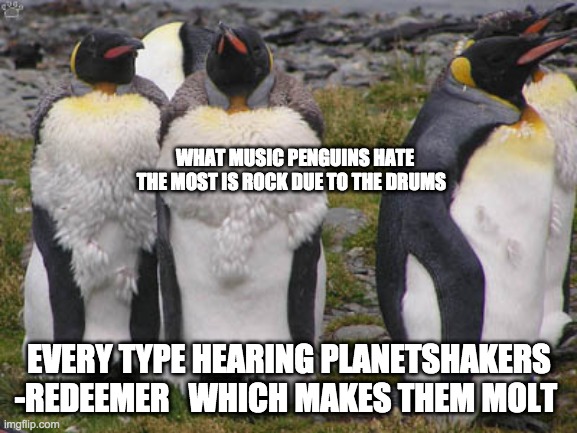 What Music Penguins hate | WHAT MUSIC PENGUINS HATE THE MOST IS ROCK DUE TO THE DRUMS; EVERY TYPE HEARING PLANETSHAKERS -REDEEMER   WHICH MAKES THEM MOLT | image tagged in penguin | made w/ Imgflip meme maker