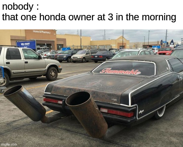 stop this honda owners | nobody :
that one honda owner at 3 in the morning | image tagged in memes | made w/ Imgflip meme maker