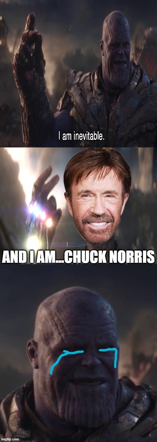 he is.....chuck norris | image tagged in chuck norris,avengers endgame,funny memes | made w/ Imgflip meme maker