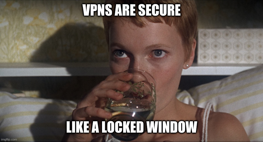 Rosemary | VPNS ARE SECURE; LIKE A LOCKED WINDOW | image tagged in rosemary | made w/ Imgflip meme maker