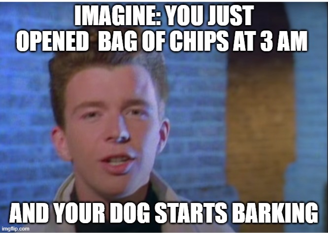 just trying to grab some snacks |  IMAGINE: YOU JUST OPENED  BAG OF CHIPS AT 3 AM; AND YOUR DOG STARTS BARKING | image tagged in rick astley,rickroll | made w/ Imgflip meme maker