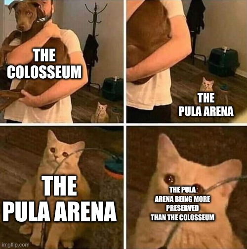 Ignored cat | THE COLOSSEUM; THE PULA ARENA; THE PULA ARENA; THE PULA ARENA BEING MORE PRESERVED THAN THE COLOSSEUM | image tagged in ignored cat | made w/ Imgflip meme maker