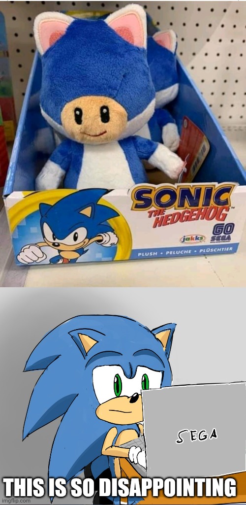 WHO PUT THAT CAT TOAD IN THERE? |  THIS IS SO DISAPPOINTING | image tagged in sonic the hedgehog,sonic,super mario bros,toad,fail | made w/ Imgflip meme maker