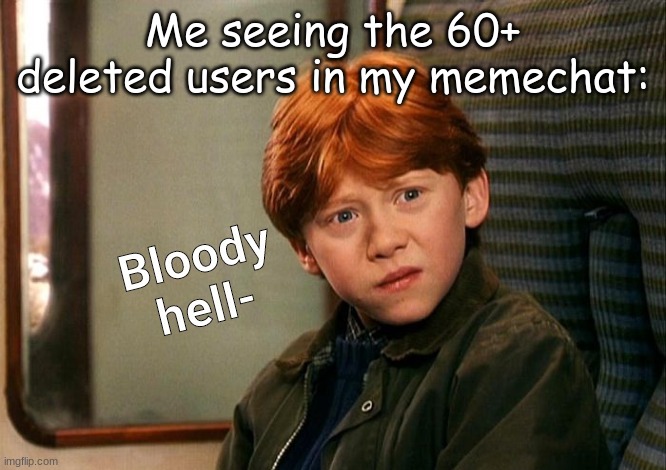 Ron bloody hell- | Me seeing the 60+ deleted users in my memechat: | image tagged in ron bloody hell- | made w/ Imgflip meme maker