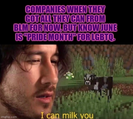 Cash cows | COMPANIES WHEN THEY GOT ALL THEY CAN FROM BLM FOR NOW, BUT KNOW JUNE IS "PRIDE MONTH" FOR LGBTQ. | image tagged in company cash cows | made w/ Imgflip meme maker