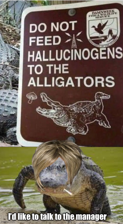 Karenagator | I’d like to talk to the manager | image tagged in karen,memes,crappy memes,mushrooms,alligator | made w/ Imgflip meme maker