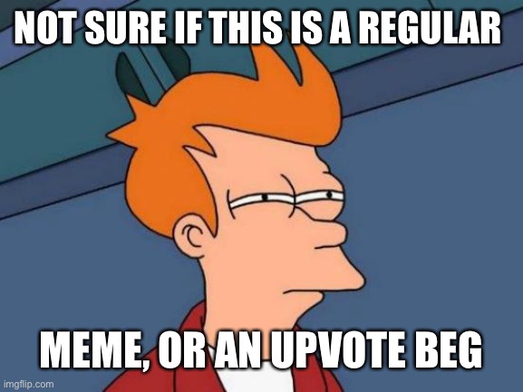 NOT SURE IF THIS IS A REGULAR MEME, OR AN UPVOTE BEG | image tagged in memes,futurama fry | made w/ Imgflip meme maker