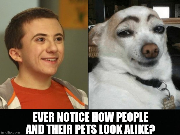 Dog Gone Funny |  EVER NOTICE HOW PEOPLE AND THEIR PETS LOOK ALIKE? | image tagged in brick heck,dogs,pets,look alike,fun,funny | made w/ Imgflip meme maker