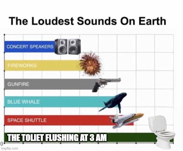 Totally the loudest thing | THE TOLIET FLUSHING AT 3 AM | image tagged in the loudest sounds on earth,memes,funny | made w/ Imgflip meme maker