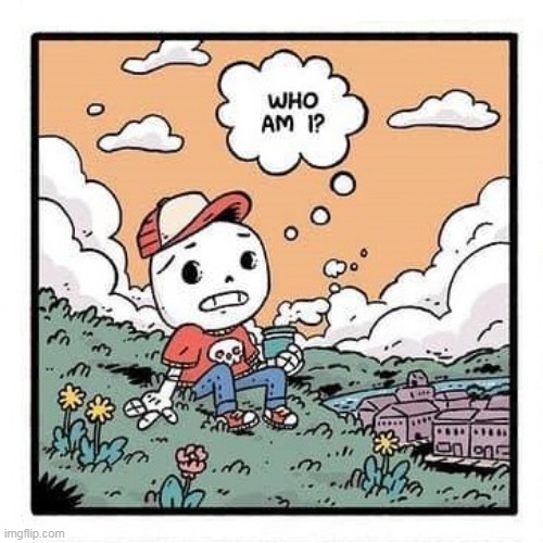 who_am_i | image tagged in who_am_i | made w/ Imgflip meme maker