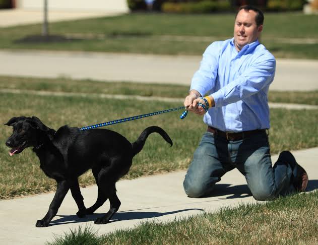 Dog pulling leash Blank Meme Template