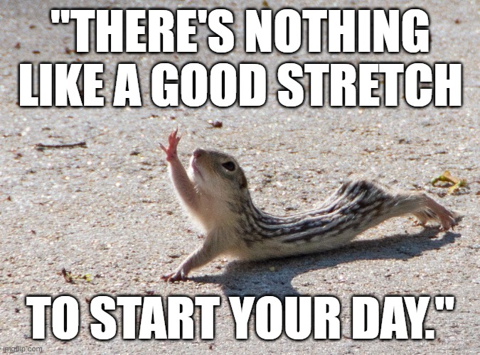 Funny squirrel pose - There's nothing like a good stretch to start your day. | "THERE'S NOTHING LIKE A GOOD STRETCH; TO START YOUR DAY." | image tagged in humor,funny animals,squirrel,stretching,exercise,funny meme | made w/ Imgflip meme maker