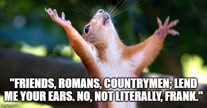 Funny squirrel meme quoting Mark Antony: "Friends, Romans, countrymen; lend me your ears. No, not literally, Frank." | "FRIENDS, ROMANS, COUNTRYMEN; LEND ME YOUR EARS. NO, NOT LITERALLY, FRANK." | image tagged in memes,funny memes,funny animal meme,squirrel,mark antony,humor | made w/ Imgflip meme maker