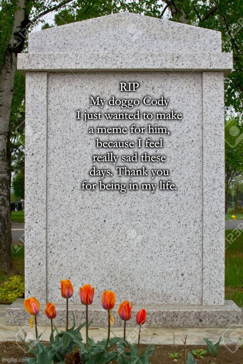 This isn't a joke. I'm serious. |  RIP
My doggo Cody
I just wanted to make a meme for him, because I feel really sad these days. Thank you for being in my life. | image tagged in blank gravestone,rip,doggo,doggos,good dog | made w/ Imgflip meme maker