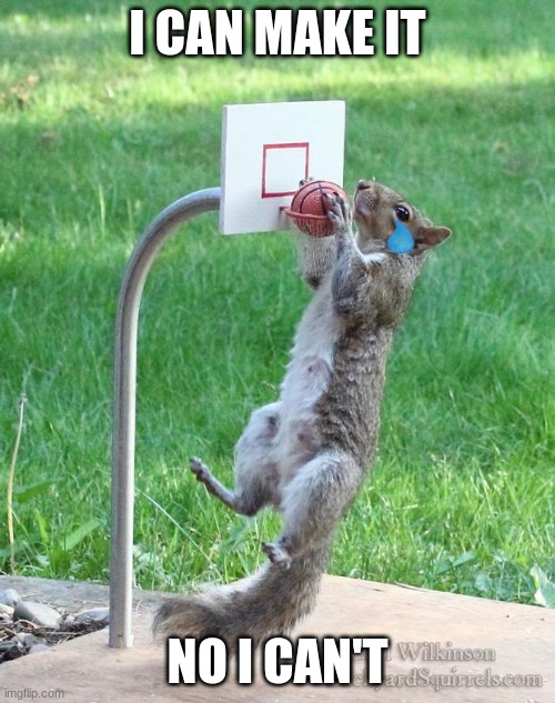 Squirrel basketball | I CAN MAKE IT; NO I CAN'T | image tagged in squirrel basketball | made w/ Imgflip meme maker