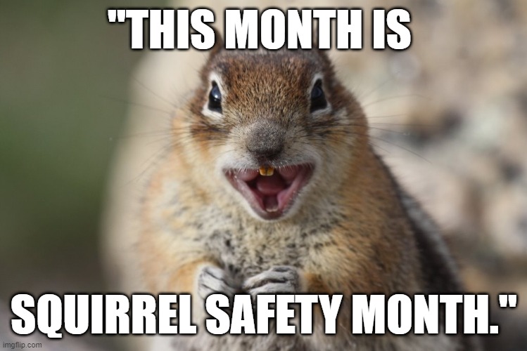 Funny squirrel meme: "This month is squirrel safety month." | "THIS MONTH IS; SQUIRREL SAFETY MONTH." | image tagged in memes,funny memes,funny animals,squirrel,humor,squirrel week | made w/ Imgflip meme maker