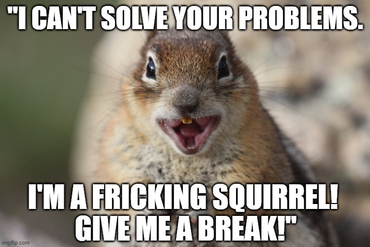 Funny squirrel meme: "I can't solve your problems. I'm a fricking squirrel! Give me a break!" | "I CAN'T SOLVE YOUR PROBLEMS. I'M A FRICKING SQUIRREL! 
GIVE ME A BREAK!" | image tagged in memes,funny memes,funny animals,squirrel,squirrel week,humor | made w/ Imgflip meme maker