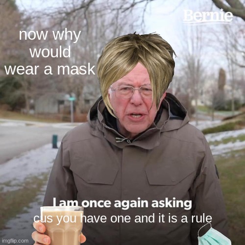 Bernie I Am Once Again Asking For Your Support | now why would wear a mask; cus you have one and it is a rule | image tagged in memes,bernie i am once again asking for your support | made w/ Imgflip meme maker