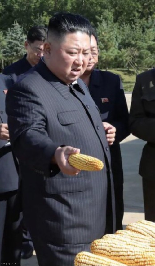 Kim jung un disgusted | image tagged in kim jung un,memes,meme,funny,funny memes,bruh | made w/ Imgflip meme maker