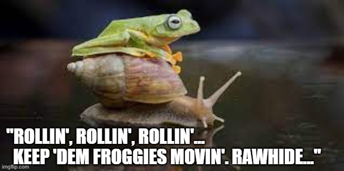Funny frog riding a snail meme: "Rollin', rollin', rollin'. Keep 'dem froggies movin'. Rawhide." | "ROLLIN', ROLLIN', ROLLIN'...
  KEEP 'DEM FROGGIES MOVIN'. RAWHIDE..." | image tagged in memes,funny memes,funny animals,frog,frog riding a snail,tv series | made w/ Imgflip meme maker