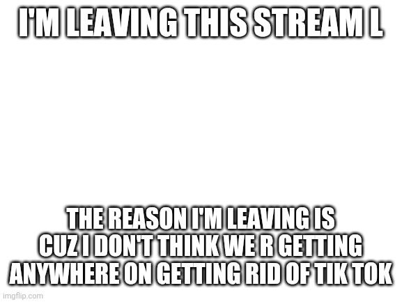 He does have a point we havent been getting anywhere(Mod note) | I'M LEAVING THIS STREAM L; THE REASON I'M LEAVING IS CUZ I DON'T THINK WE R GETTING ANYWHERE ON GETTING RID OF TIK TOK | image tagged in blank white template | made w/ Imgflip meme maker