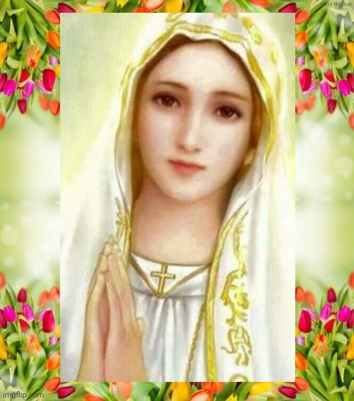 Found this pretty image of Mary | image tagged in flowers,mary,catholic | made w/ Imgflip meme maker