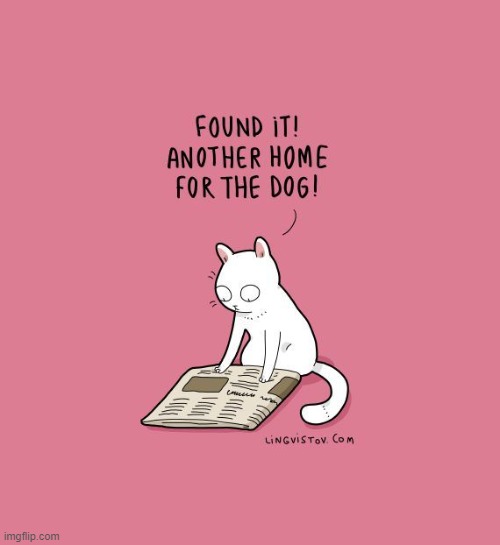 A Cat 's Way Of Thinking | image tagged in memes,comics,found,dog,new,home | made w/ Imgflip meme maker