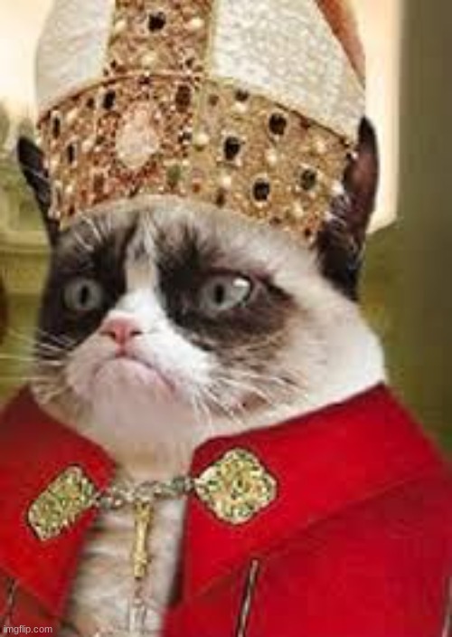 grumpy catholic | image tagged in grumpy catholic | made w/ Imgflip meme maker